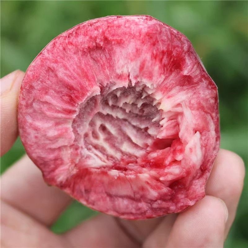 四川中脆桃春蜜桃产地直发大量有货桃子原产地一手货源