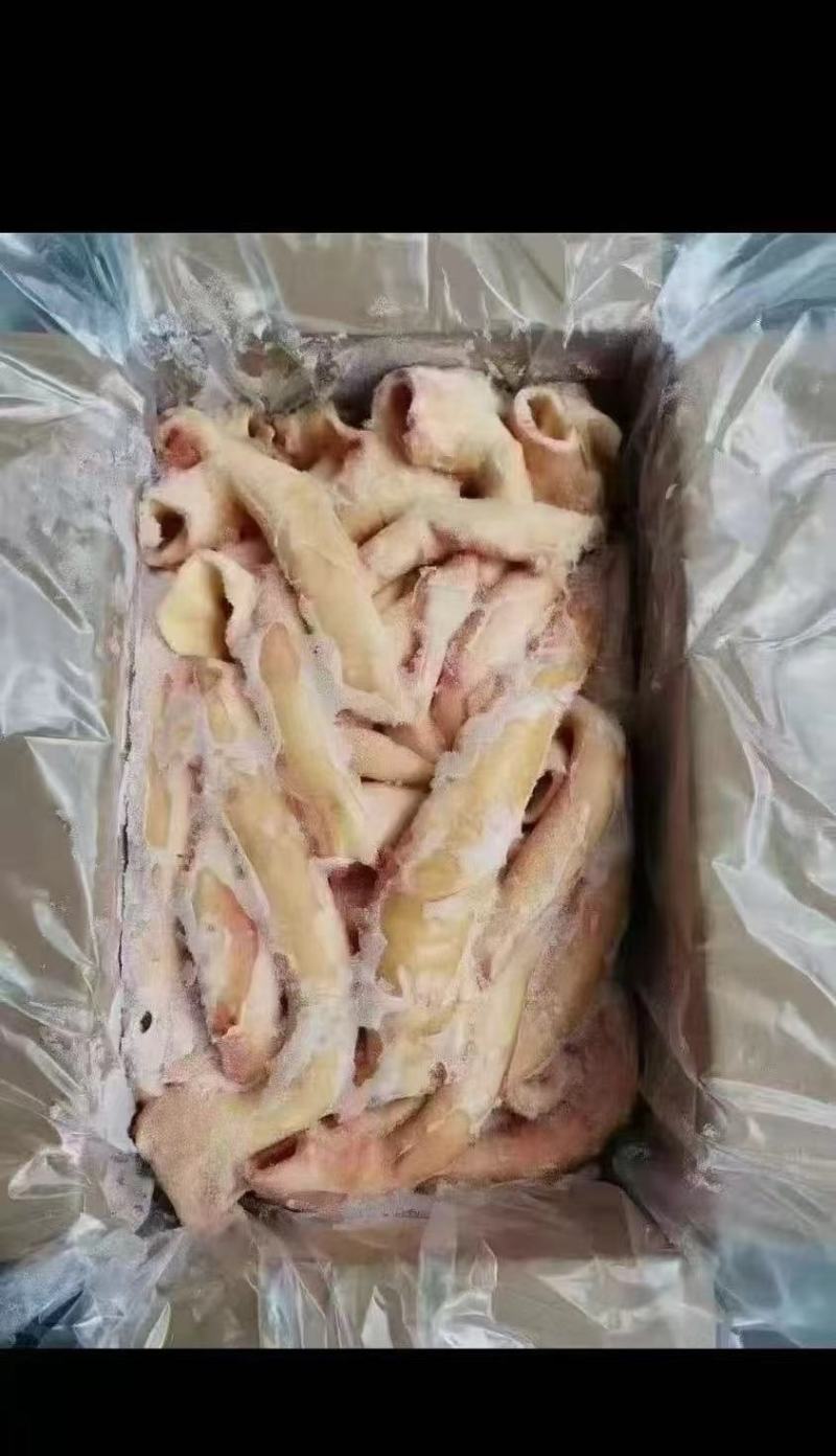 驴心管