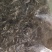 正宗普洱高山茶大量上市喜欢的朋友赶快下手