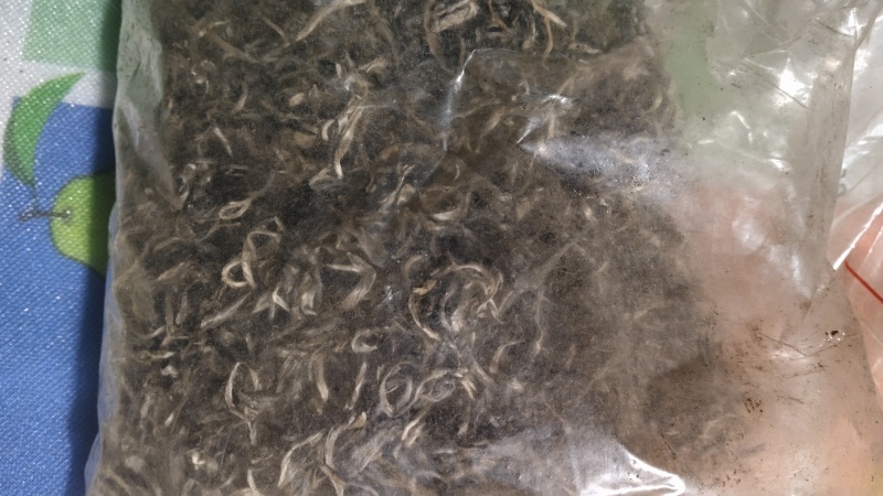 正宗普洱高山茶大量上市喜欢的朋友赶快下手