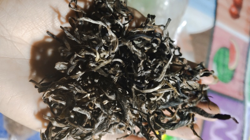 正宗普洱高山茶大量上市喜欢的朋友赶快下手