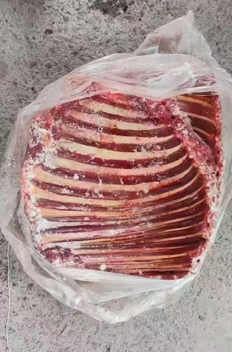 马排