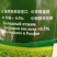 俄罗斯原瓶进口菜籽油冷榨工艺：初榨头道油及一级精炼油