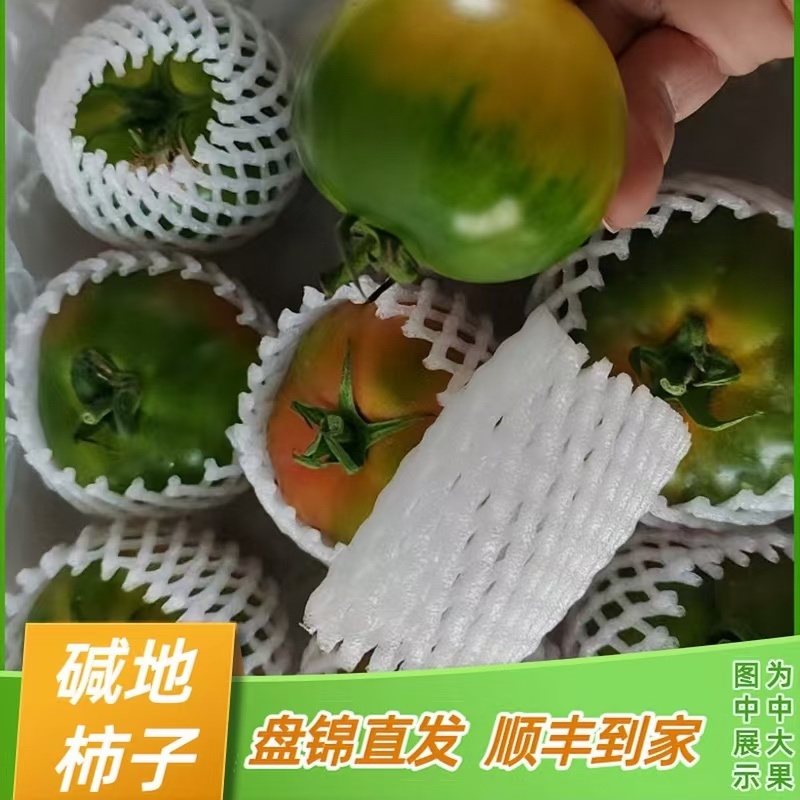 盘锦碱地柿子铁皮柿子大洼西红柿批发电商社区团购一件代发