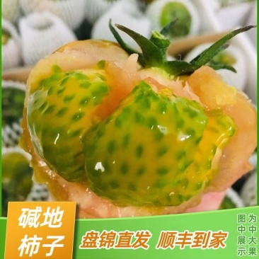 盘锦碱地柿子铁皮柿子大洼西红柿批发电商社区团购一件代发