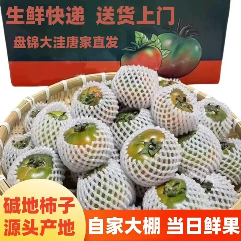 盘锦碱地柿子铁皮柿子大洼西红柿批发电商社区团购一件代发