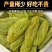 新疆吐鲁番葡萄干无籽免洗大颗粒休闲零食葡萄干特级