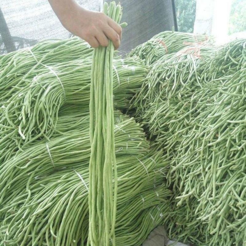 长豆角青条豆角，产地直发，品质保证量大从优，欢迎选购