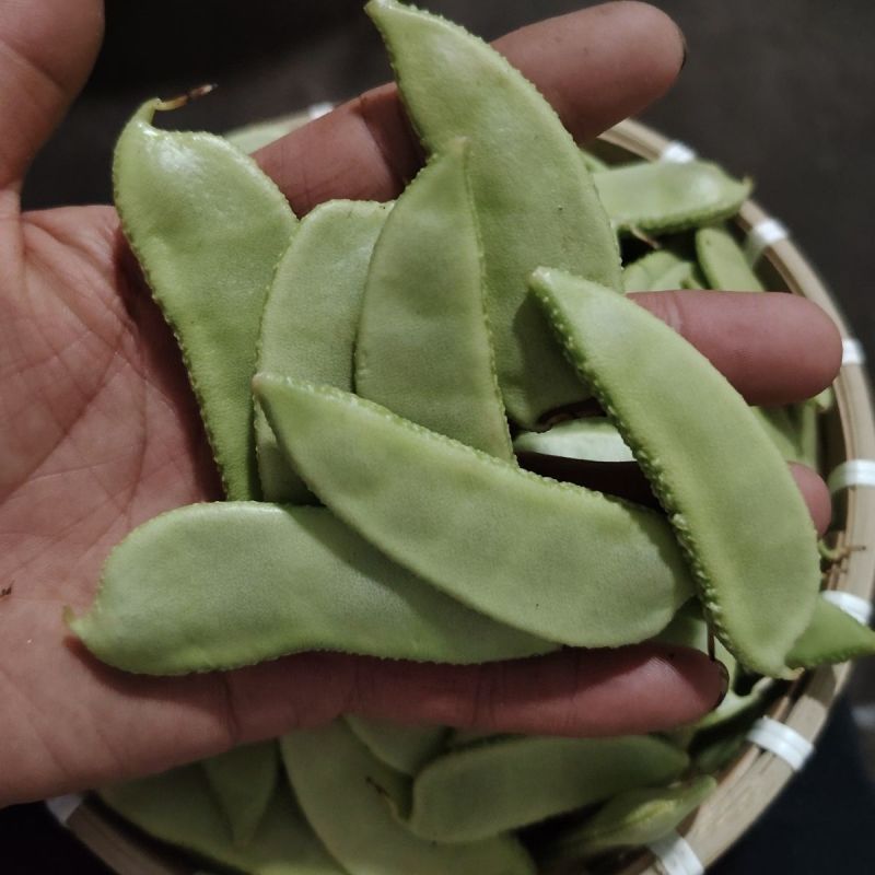 【牛商推荐】绿扁豆货源充足全国发货，产地直供
