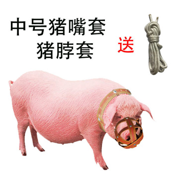母猪嘴笼猪嘴套防咬套小猪崽仔猪防咬架神器牛马嘴套养殖