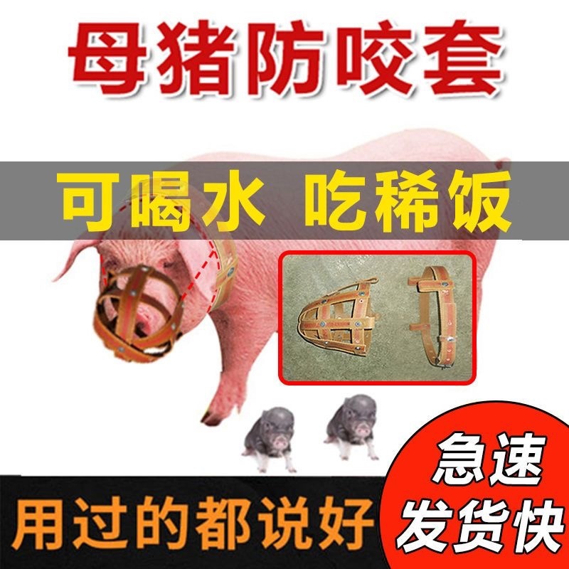 母猪嘴笼猪嘴套防咬套小猪崽仔猪防咬架神器牛马嘴套养殖