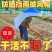 防晒遮阳服全身隔热农用上地干活防晒帽斗笠防风防雨帽子