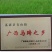 桂蹄3号正宗广西荔浦马蹄苗荸荠种子高产桂林荸荠新鲜脆甜无