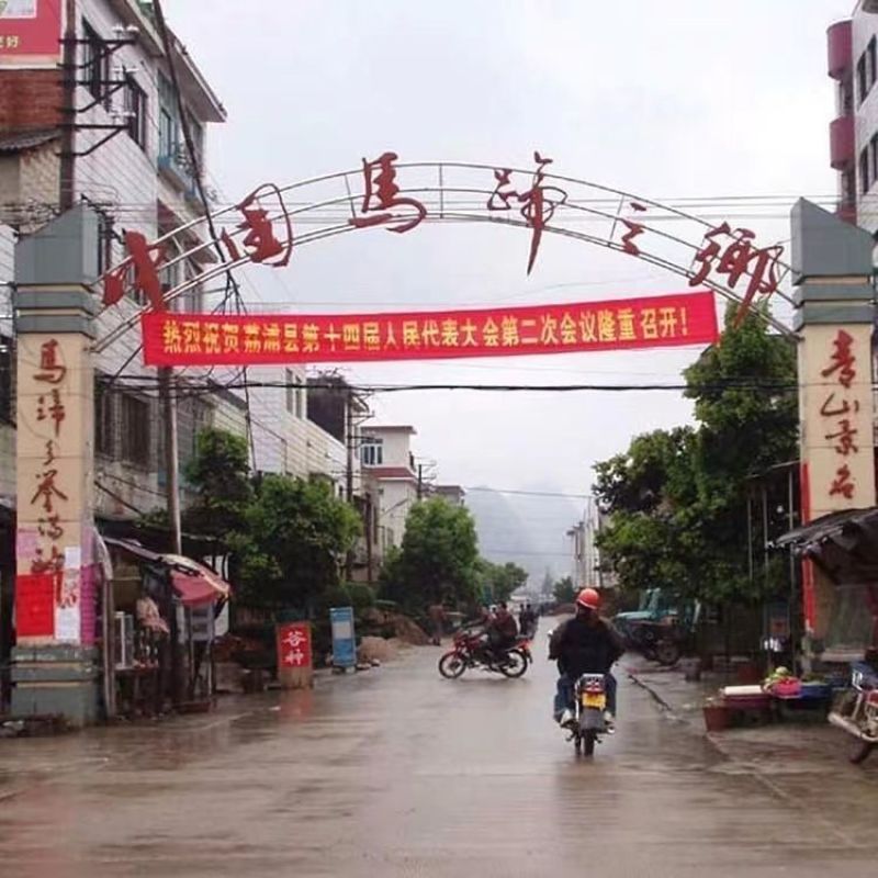 桂蹄3号正宗广西荔浦马蹄苗荸荠种子高产桂林荸荠新鲜脆甜无