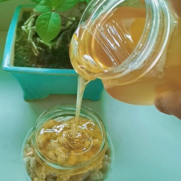 土蜂蜜