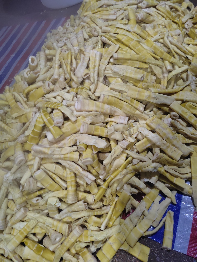 盐淹的小笋