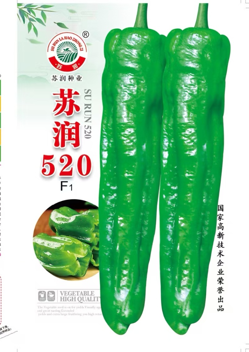 辣椒种子苏润520翠绿色大牛角椒果大软香无渣微辣
