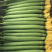 精品带花丝瓜