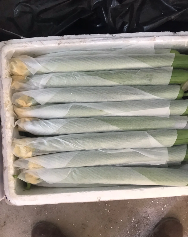 精品带花丝瓜
