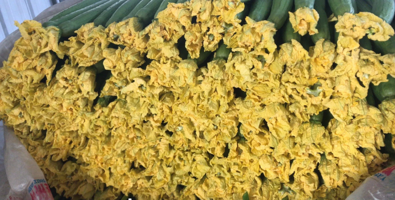 精品带花丝瓜