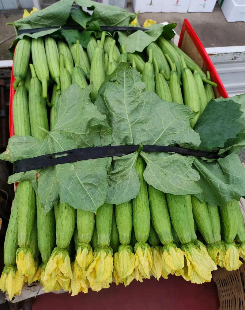 精品带花丝瓜