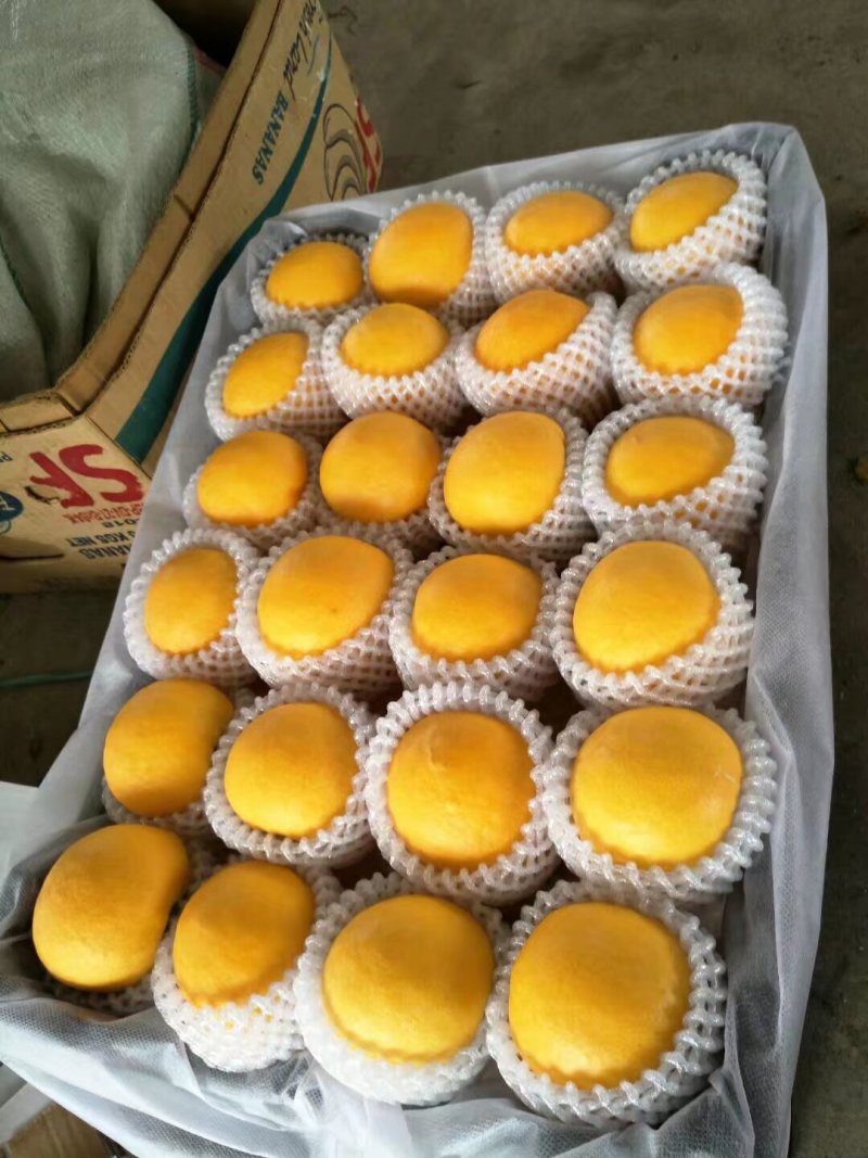 河北精品黄油桃，口感甜表光亮，全国发货商超电商