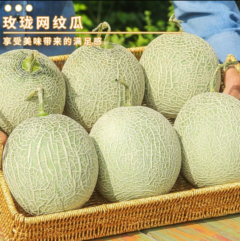 玫珑瓜网纹瓜鲁厚甜一件代发彩箱可选长年供应