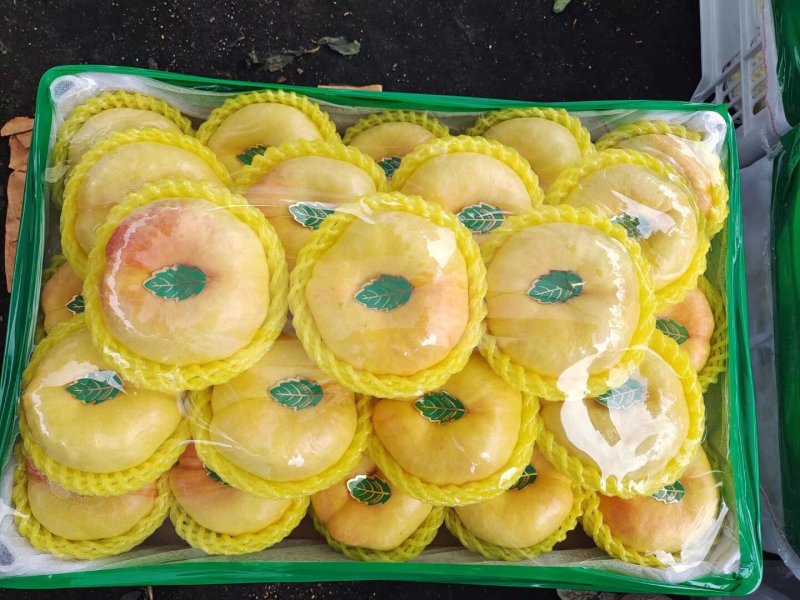 精品河北黄蟠桃，个大味甜，大量有货，可供全国市场商超电商