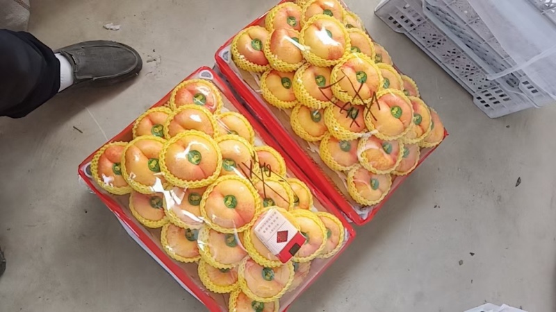 精品河北黄蟠桃，个大味甜，大量有货，可供全国市场商超电商