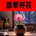 【四季好养】窝窝花阳台盆栽室内外花卉驱蚊绿植庭院植物四季开花