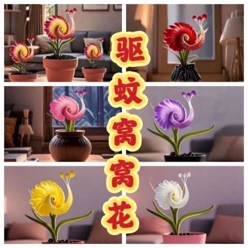 【四季好养】窝窝花阳台盆栽室内外花卉驱蚊绿植庭院植物四季开花