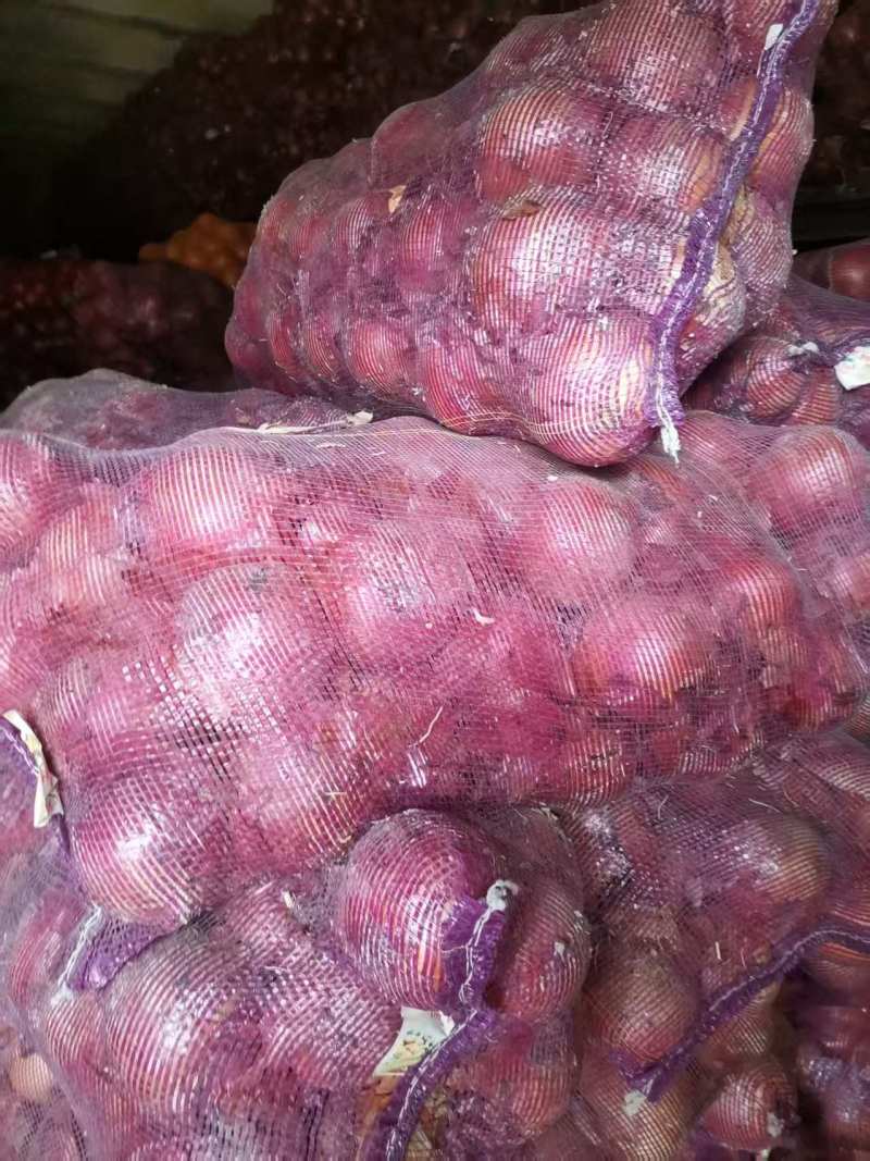 大量现货需要的联系