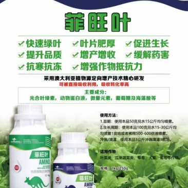 菲旺叶快速绿叶叶片肥厚促进生长提质增产