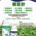 菲旺叶快速绿叶叶片肥厚促进生长提质增产
