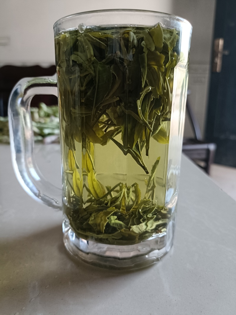 【精选】六安高山黄茶自家茶园直供品质保障欢迎咨询下单