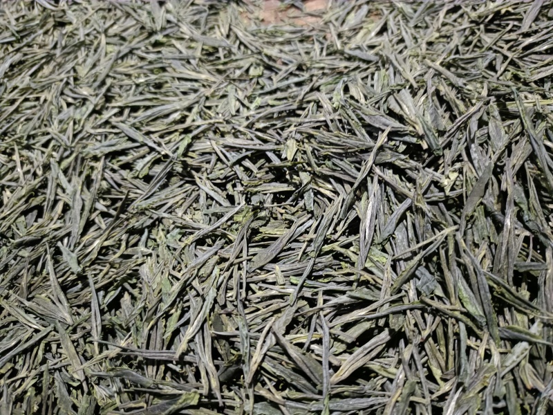 【精选】六安高山黄茶自家茶园直供品质保障欢迎咨询下单