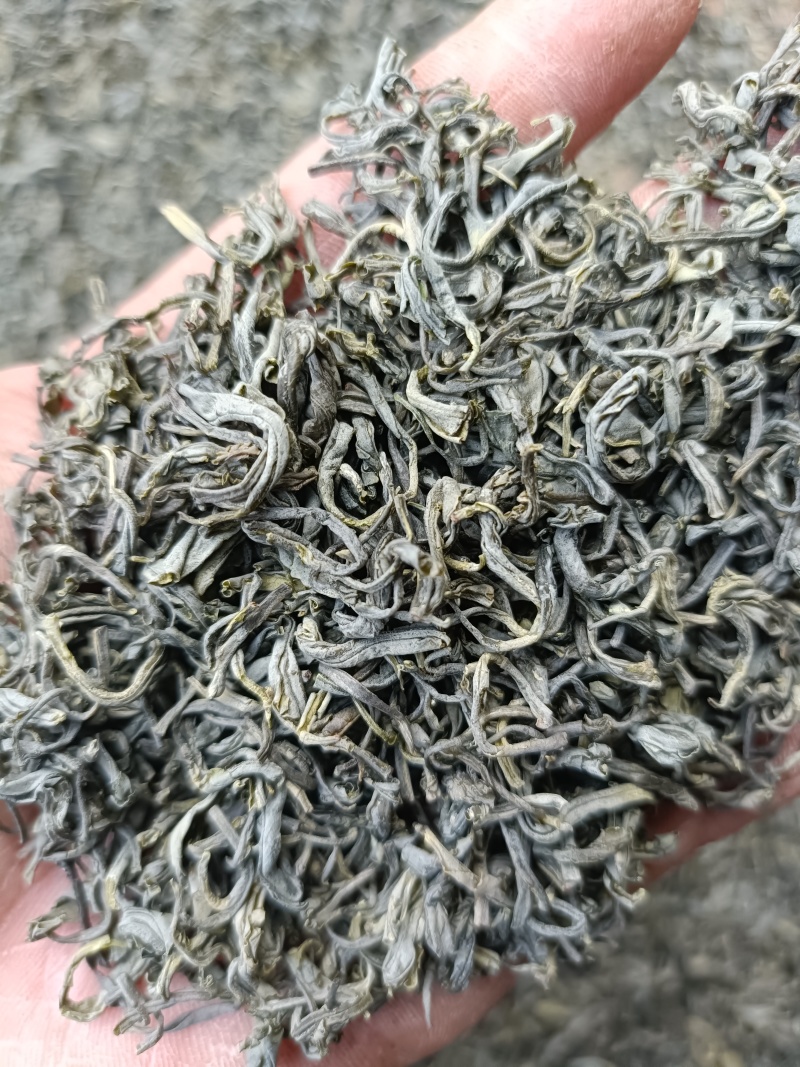 【精选】六安高山黄茶自家茶园直供品质保障欢迎咨询下单