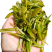 【精选】六安高山黄茶自家茶园直供品质保障欢迎咨询下单