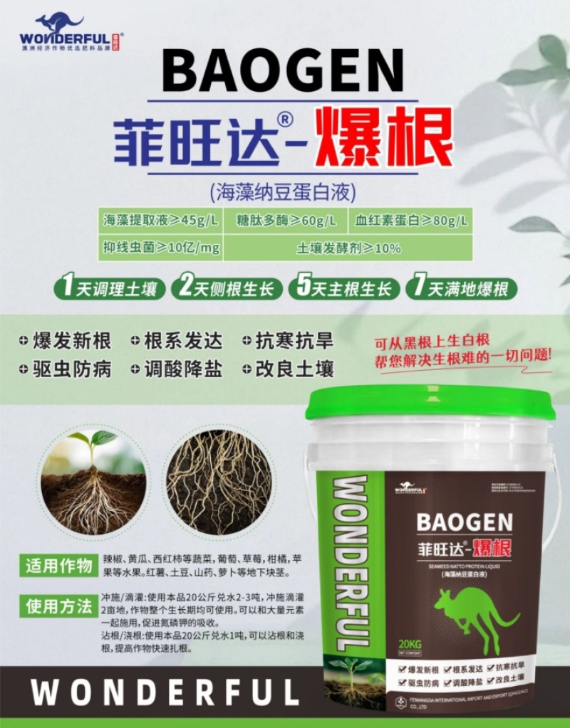 爆根