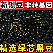 包邮）东北绿芯黑豆农家自产5斤新豆可发芽打豆浆绿心黑豆