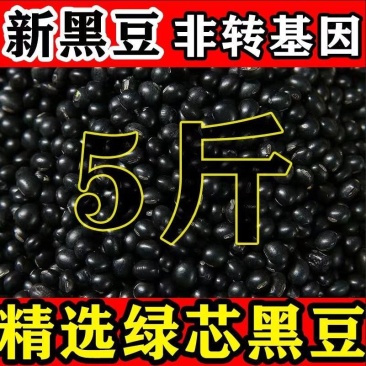 包邮）东北绿芯黑豆农家自产5斤新豆可发芽打豆浆绿心黑豆