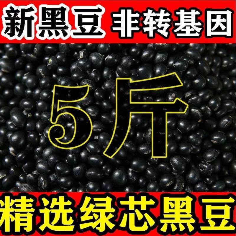 包邮）东北绿芯黑豆农家自产5斤新豆可发芽打豆浆绿心黑豆