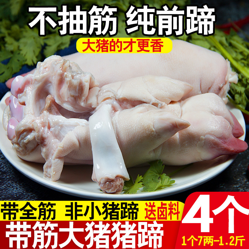 猪蹄