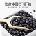 包邮）东北绿芯黑豆农家自产5斤新豆可发芽打豆浆绿心黑豆