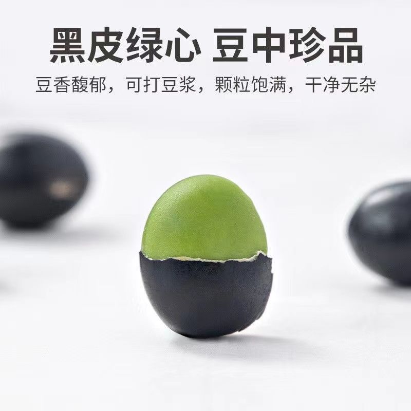 包邮）东北绿芯黑豆农家自产5斤新豆可发芽打豆浆绿心黑豆