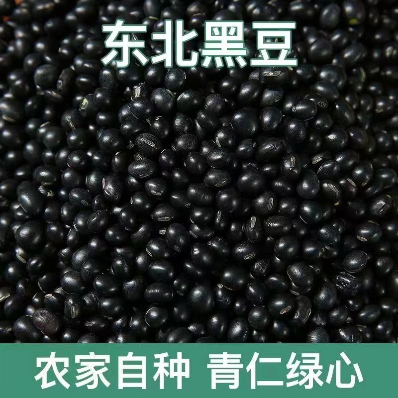 包邮）东北绿芯黑豆农家自产5斤新豆可发芽打豆浆绿心黑豆