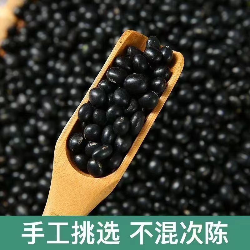 包邮）东北绿芯黑豆农家自产5斤新豆可发芽打豆浆绿心黑豆