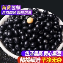 包邮）黑豆五谷杂粮豆浆可醋泡黄芯黑豆农家黄心粗粮豆类杂粮