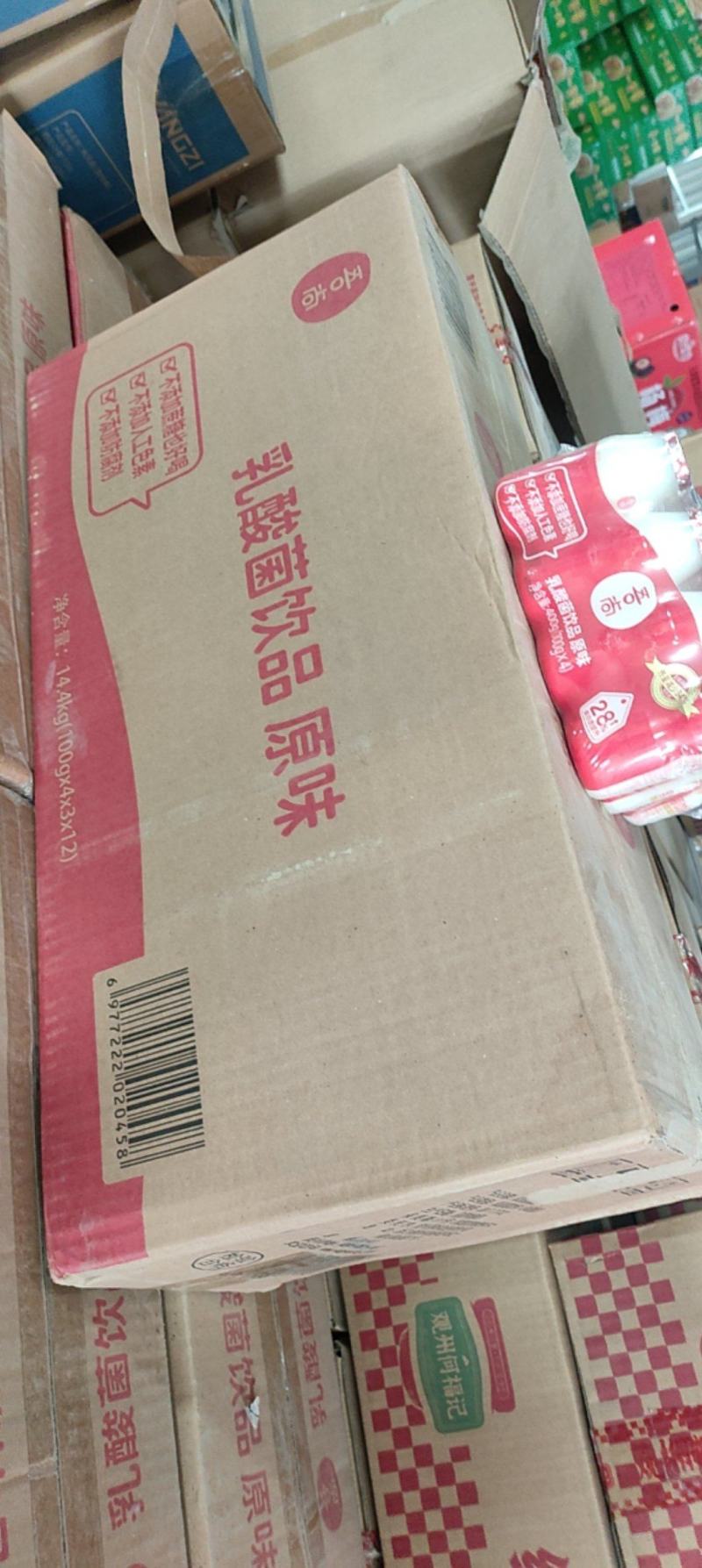 乳酸菌饮品