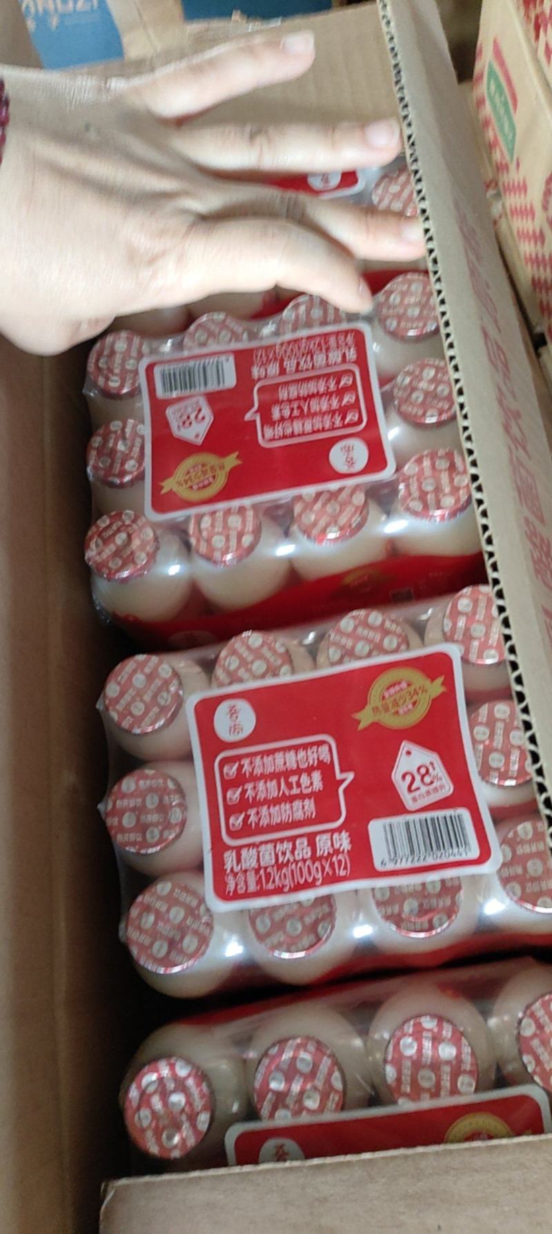 乳酸菌饮品